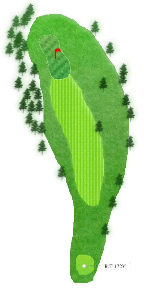 8H