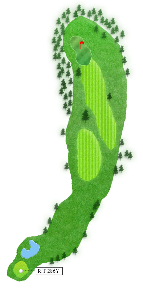 8H